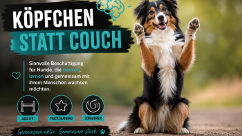 Permalink zu: Beschäftigung