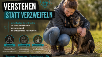 Permalink zu: Einzeltraining